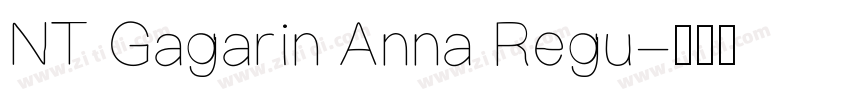 NT Gagarin Anna Regu字体转换